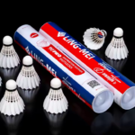 Clipboard image 68a773b2895dea81